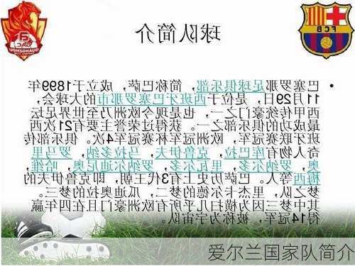 爱尔兰国家队简介