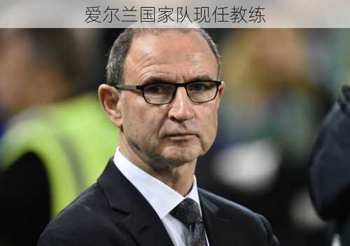爱尔兰国家队现任教练
