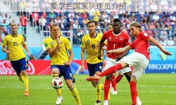 爱尔兰国家队球员介绍