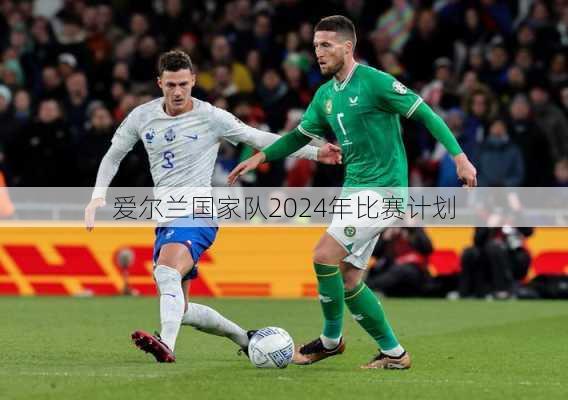 爱尔兰国家队2024年比赛计划