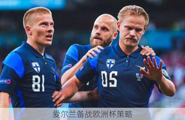 爱尔兰备战欧洲杯策略