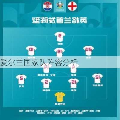 爱尔兰国家队阵容分析