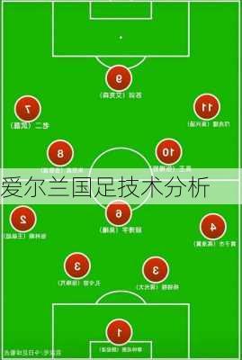 爱尔兰国足技术分析