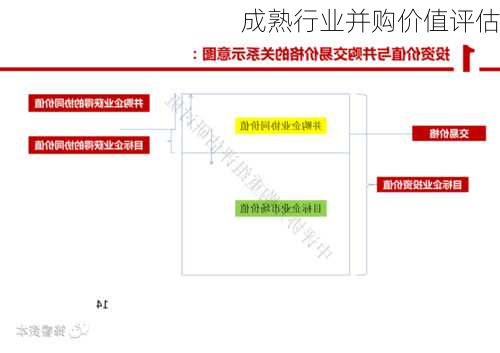 成熟行业并购价值评估