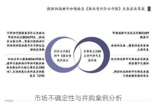 市场不确定性与并购案例分析