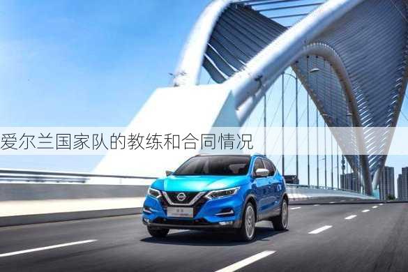 爱尔兰国家队的教练和合同情况