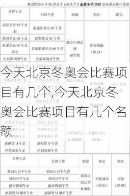今天北京冬奥会比赛项目有几个,今天北京冬奥会比赛项目有几个名额
