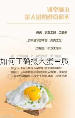 如何正确摄入蛋白质