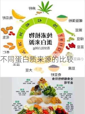 不同蛋白质来源的比较