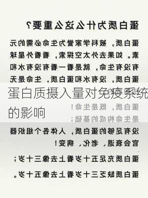 蛋白质摄入量对免疫系统的影响
