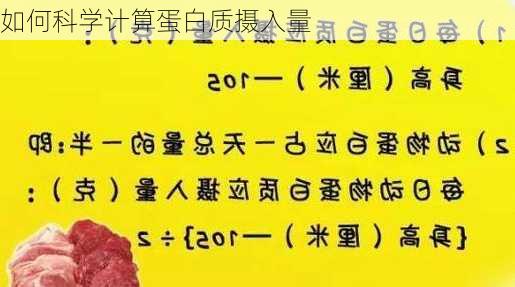 如何科学计算蛋白质摄入量
