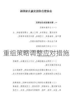 重组策略调整应对措施
