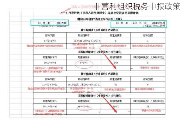 非营利组织税务申报政策