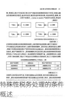 特殊性税务处理的条件概述
