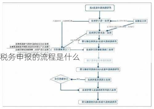 税务申报的流程是什么