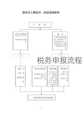 税务申报流程
