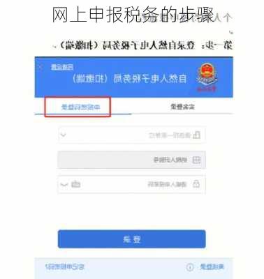 网上申报税务的步骤