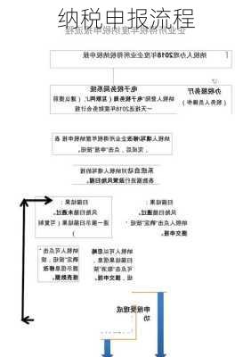 纳税申报流程