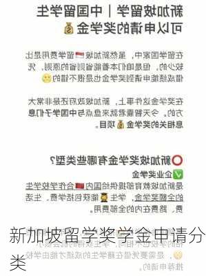 新加坡留学奖学金申请分类