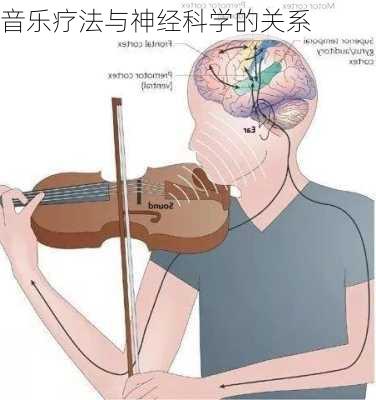 音乐疗法与神经科学的关系