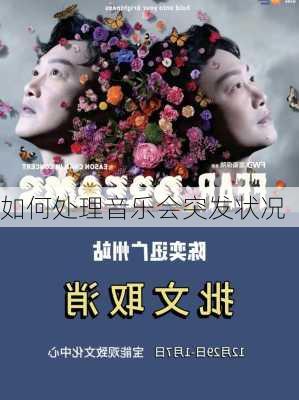 如何处理音乐会突发状况