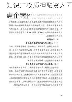 知识产权质押融资入园惠企案例