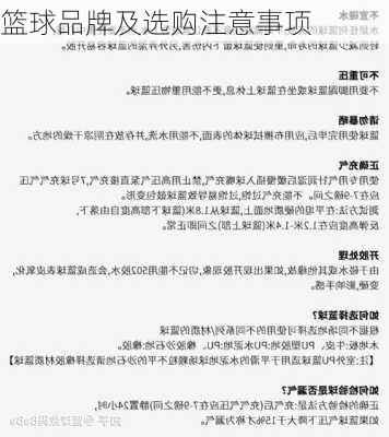 篮球品牌及选购注意事项
