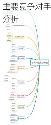 主要竞争对手分析