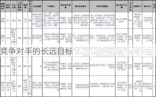 竞争对手的长远目标