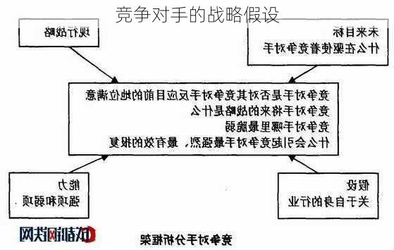 竞争对手的战略假设