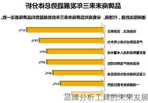 品牌分析工具的未来发展