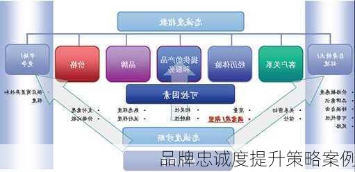 品牌忠诚度提升策略案例
