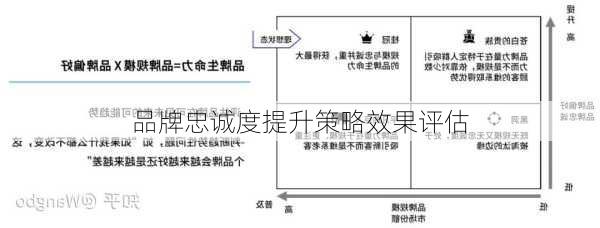 品牌忠诚度提升策略效果评估