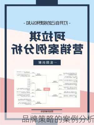 品牌策略的案例分析