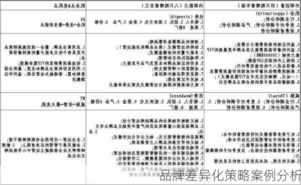 品牌差异化策略案例分析