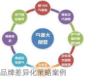 品牌差异化策略案例