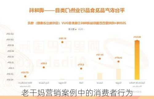 老干妈营销案例中的消费者行为