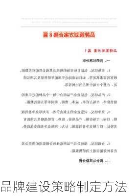 品牌建设策略制定方法