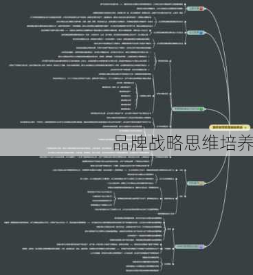 品牌战略思维培养