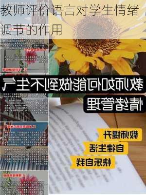 教师评价语言对学生情绪调节的作用
