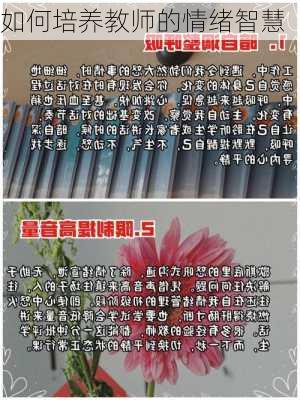 如何培养教师的情绪智慧
