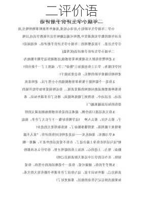 二评价语
