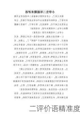 二评价语精准度