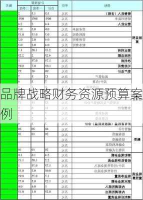 品牌战略财务资源预算案例
