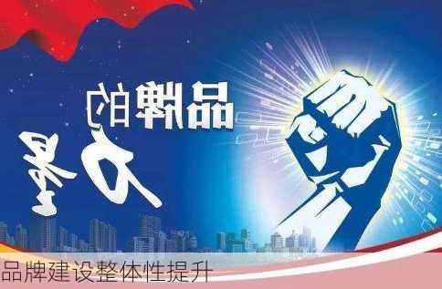 品牌建设整体性提升