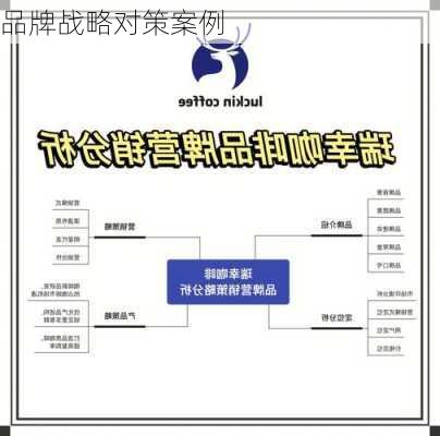 品牌战略对策案例