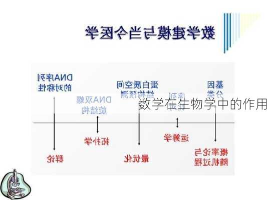 数学在生物学中的作用