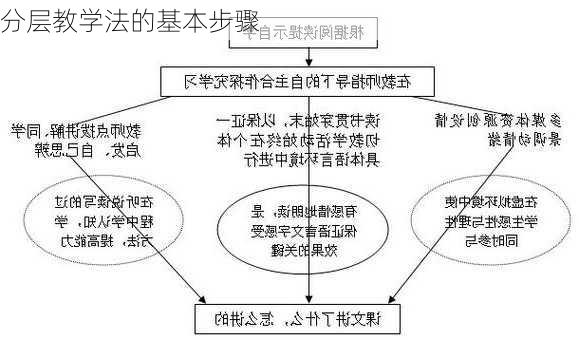 分层教学法的基本步骤