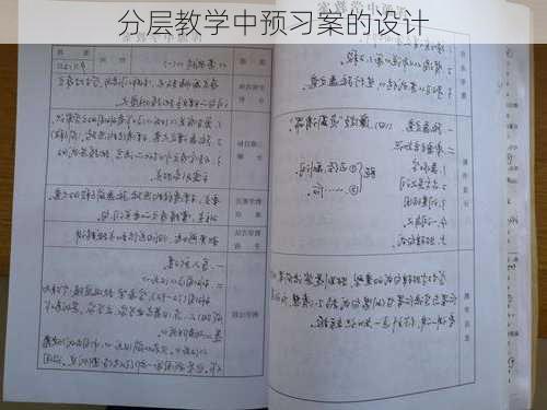 分层教学中预习案的设计