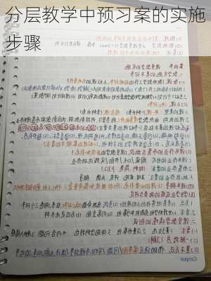 分层教学中预习案的实施步骤